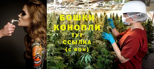 ешки Верхний Тагил