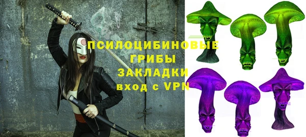ешки Верхний Тагил