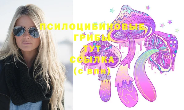 СК Волоколамск