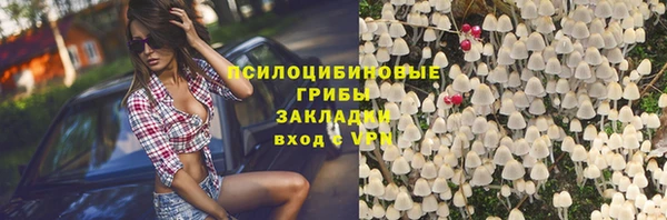 СК Волоколамск