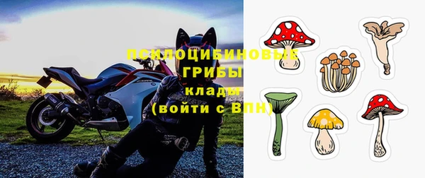 ешки Верхний Тагил