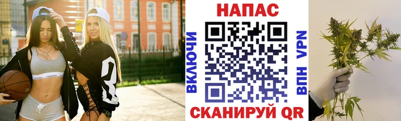 omg tor  закладка  маркетплейс клад  Каннабис SATIVA & INDICA  Пушкино 